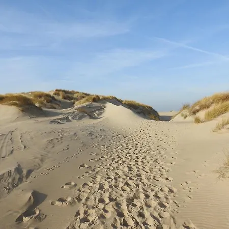 On Texel With Garden Terrace Holiday home De Cocksdorp (Texel)