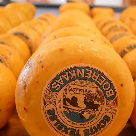 Дом отдыха On Texel With Garden Terrace